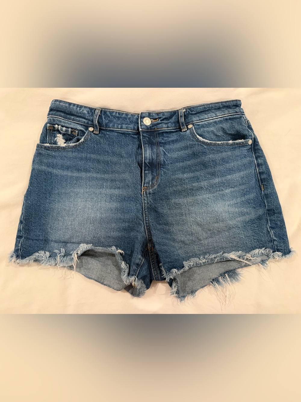 Loft Size 29/8 Classic Blue Denim Cutoff Shorts